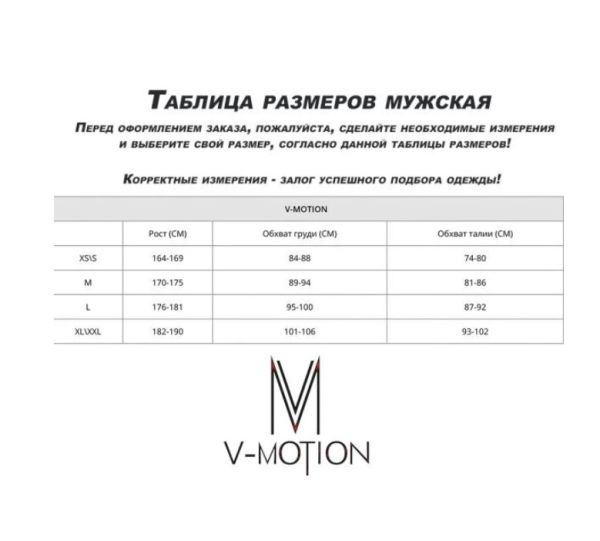 Термобельё V-MOTION Base мужской серебристый в Воронеже