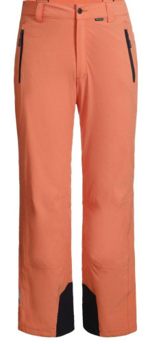 Брюки горнолыжные Icepeak 657038839IV 455 в Воронеже