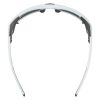 Купить Очки Alpina Skywalsh Q Smoke-Grey Matt/Green Mirror Cat.4 Fogstop в Воронеже