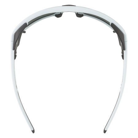 Купить Очки Alpina Skywalsh Q Smoke-Grey Matt/Green Mirror Cat.4 Fogstop в Воронеже