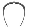 Купить Очки Alpina Skywalsh Q Midnight-Grey Matt/Blue Mirror Cat.4 Fogstop в Воронеже