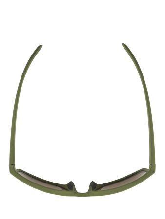 Купить Очки Alpina Nacan I Olive Matt/Bronce Mirror Cat.3 в Воронеже