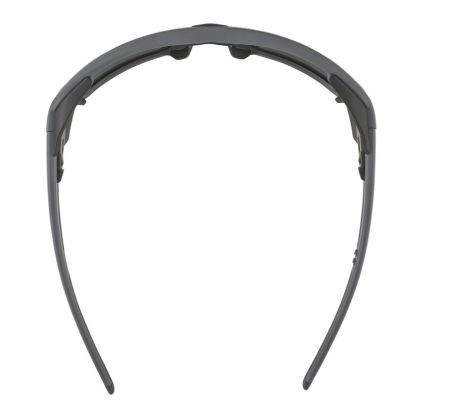 Купить Очки Alpina Skywalsh Q Midnight-Grey Matt/Blue Mirror Cat.4 Fogstop в Воронеже