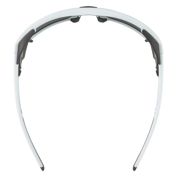 Купить очки alpina skywalsh q smoke-grey matt/green mirror cat.4 fogstop в Воронеже