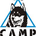 Купить в кошки camp Кошки CAMP в Воронеже