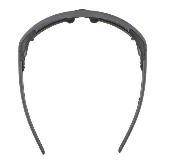 Купить очки alpina skywalsh q midnight-grey matt/blue mirror cat.4 fogstop в Воронеже