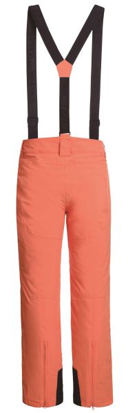 Брюки горнолыжные Icepeak 657038839IV 455 в Воронеже